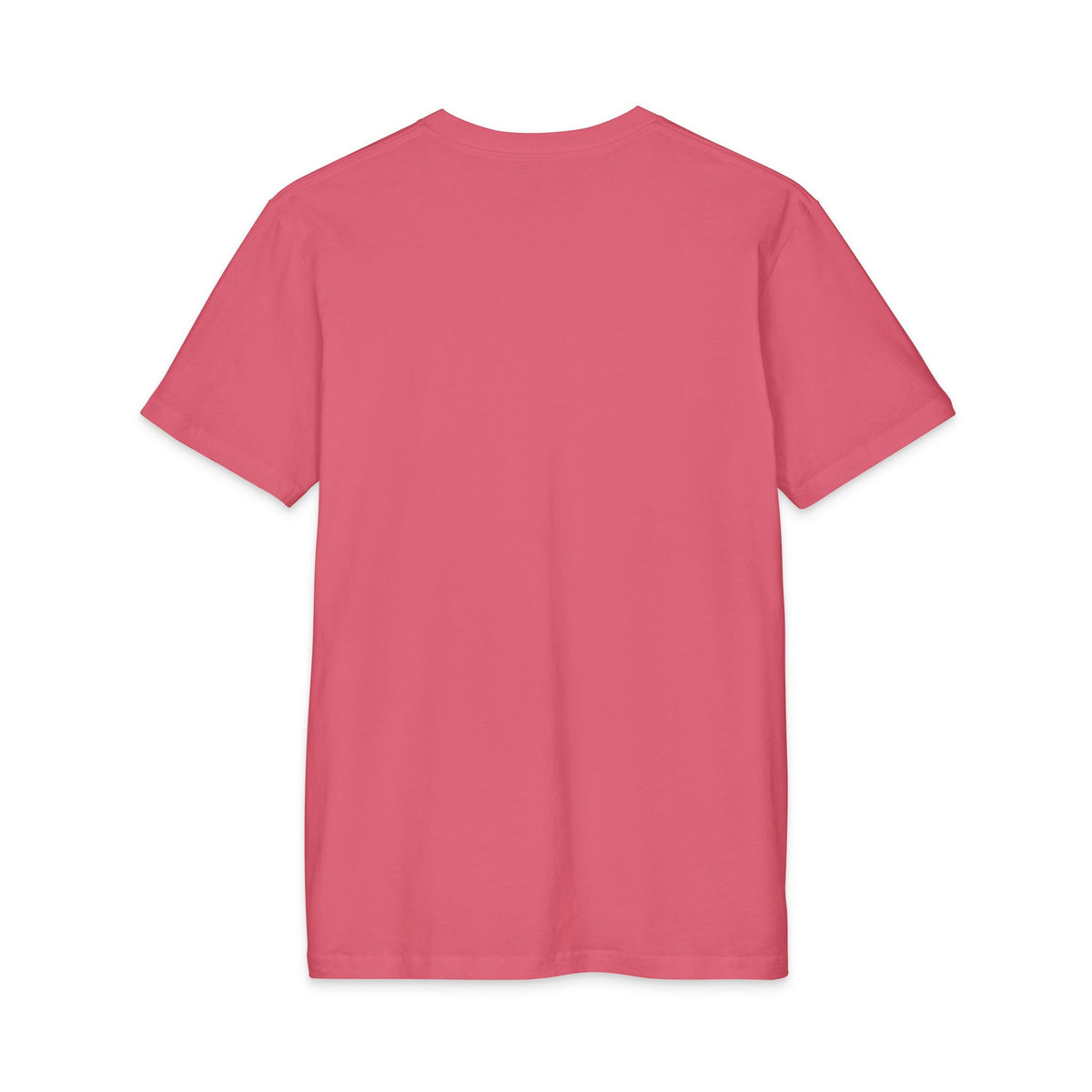 Ladies First? Not Always — Funny Humor Graphic Tee