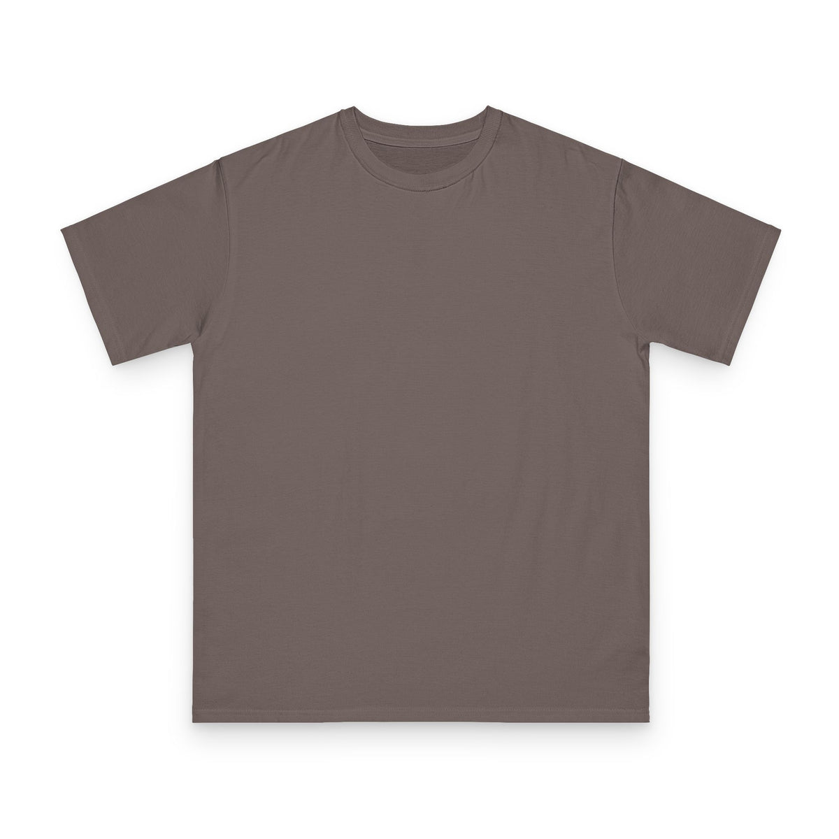 Control the Chaos — Organic Unisex T-Shirt