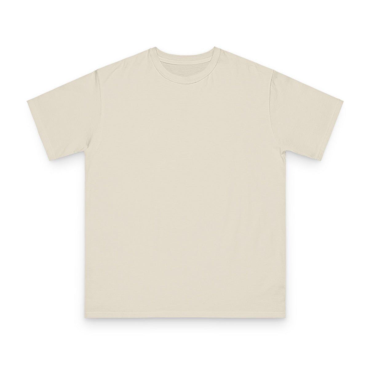 Control the Chaos — Organic Unisex T-Shirt