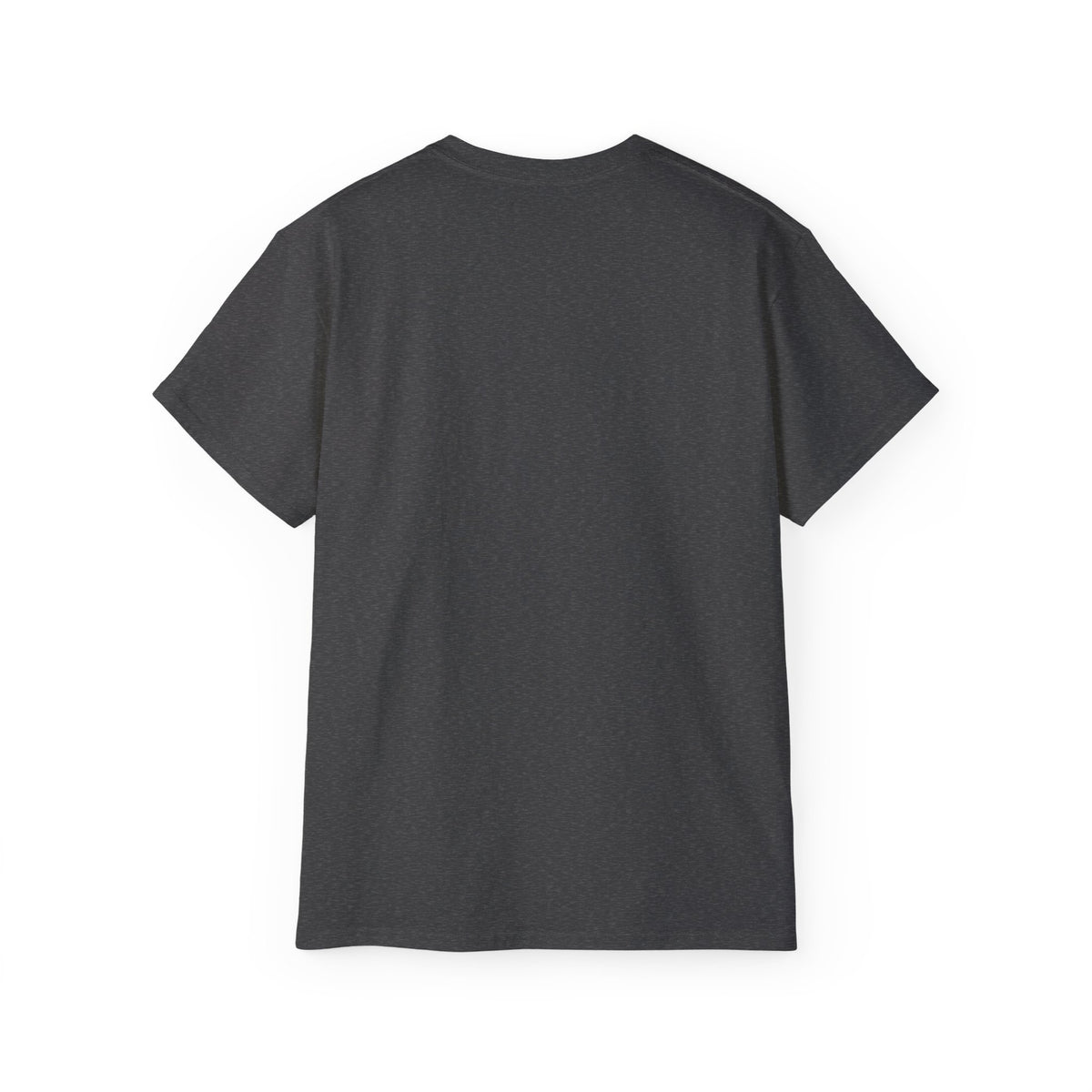 I Paused My Game For This T-Shirt | Funny Gamer Graphic Tee | Gaming Humor Shirt