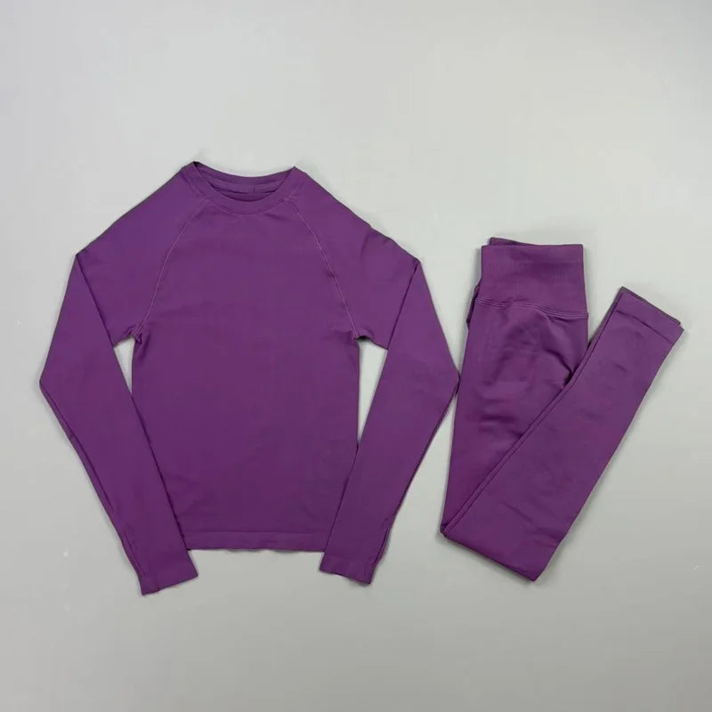 HISTELLO 2 Piece Gym Set Women Slim Fit Seamless Long Sleeve Top Elastic Fitness Leggings Sets Running Sports Yoga Workout Suit