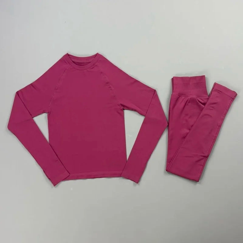HISTELLO 2 Piece Gym Set Women Slim Fit Seamless Long Sleeve Top Elastic Fitness Leggings Sets Running Sports Yoga Workout Suit