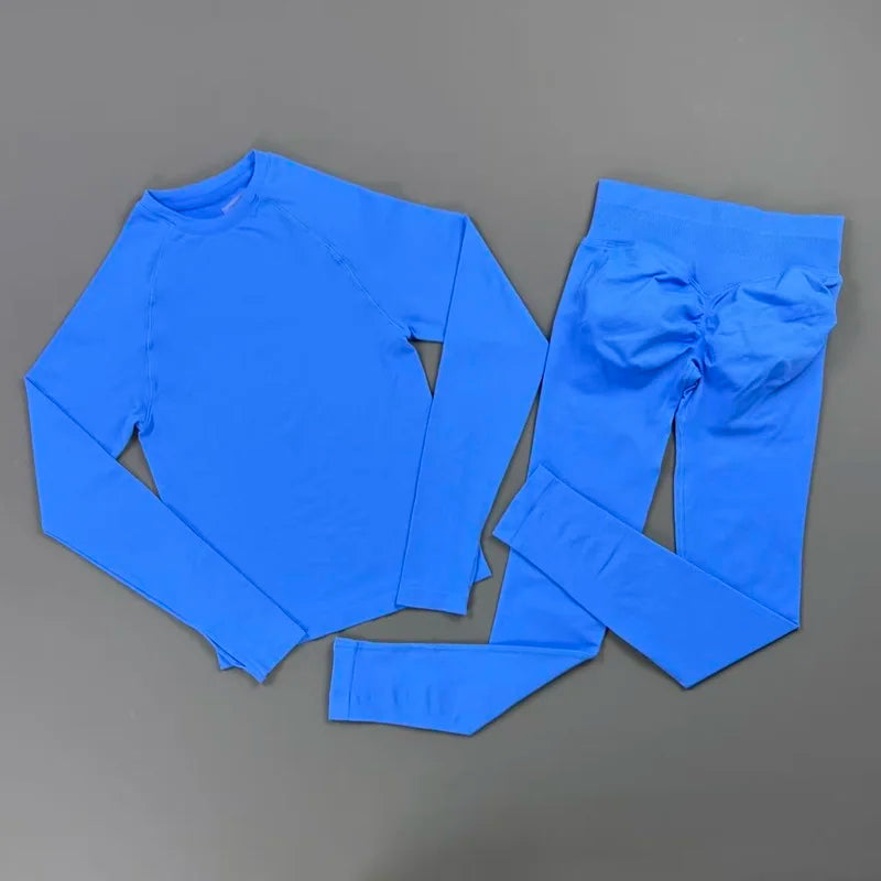 HISTELLO 2 Piece Gym Set Women Slim Fit Seamless Long Sleeve Top Elastic Fitness Leggings Sets Running Sports Yoga Workout Suit